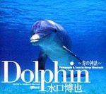 Dolphin ̐_b